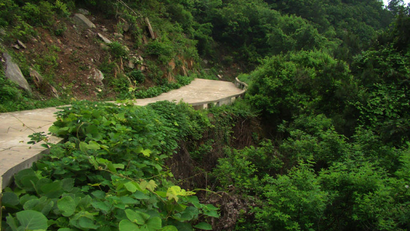 dsc02180.jpg