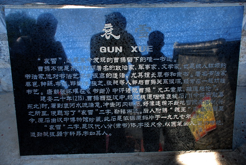 dsc_8810.jpg