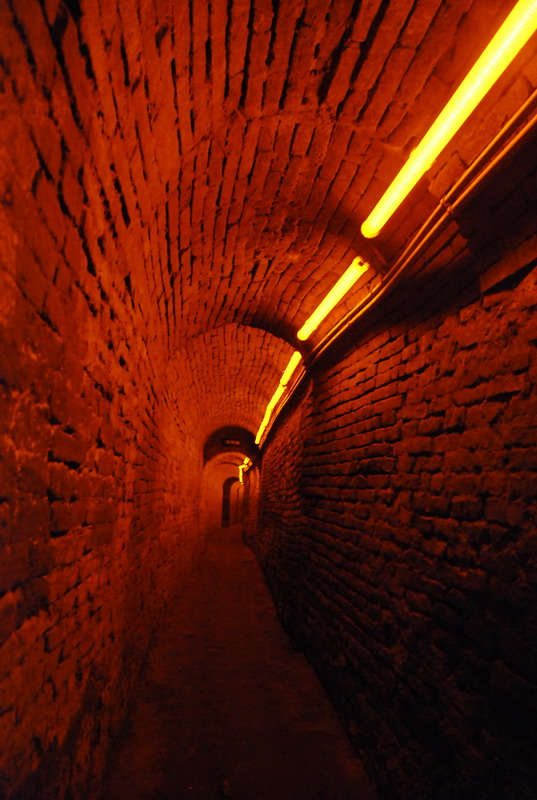 dsc_8776.jpg