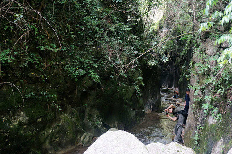 dsc02000_.jpg