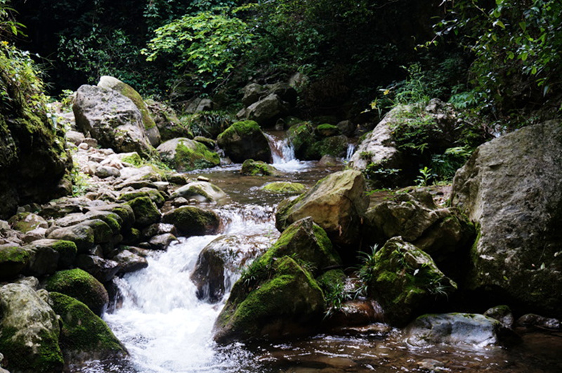 dsc02013_.jpg