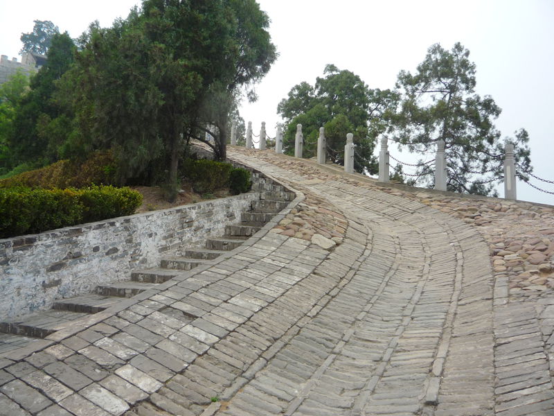 p1190383_.jpg