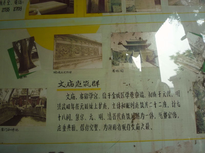 p1190383_.jpg