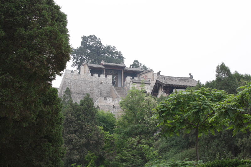 p1190383_.jpg