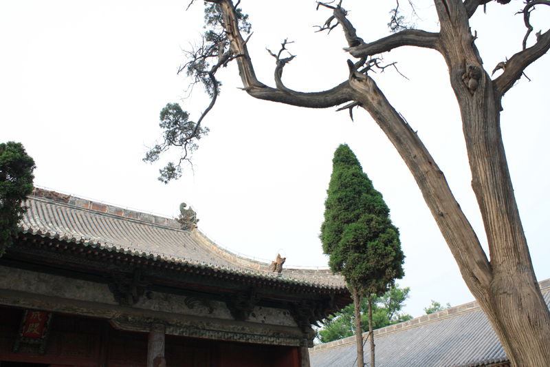 p1190383_.jpg