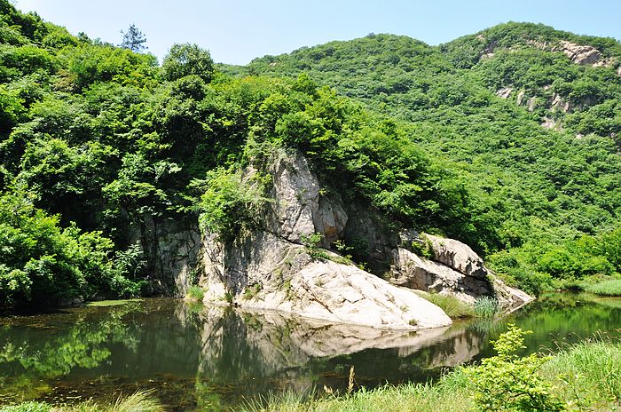 neo_img_dsc_0508.jpg