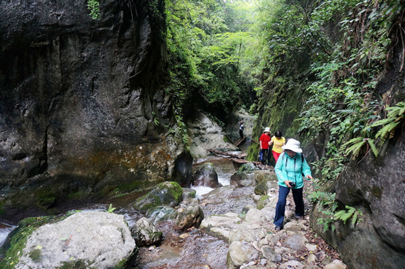 dsc02057_.jpg