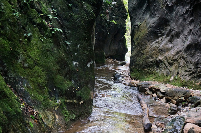 dsc02039_.jpg