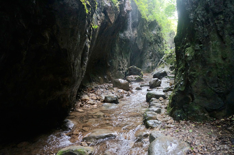 dsc02048_.jpg