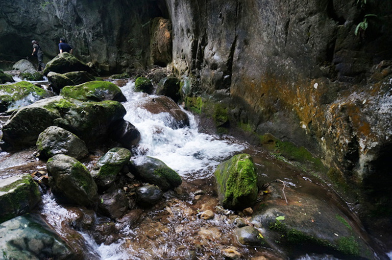 dsc02054_.jpg