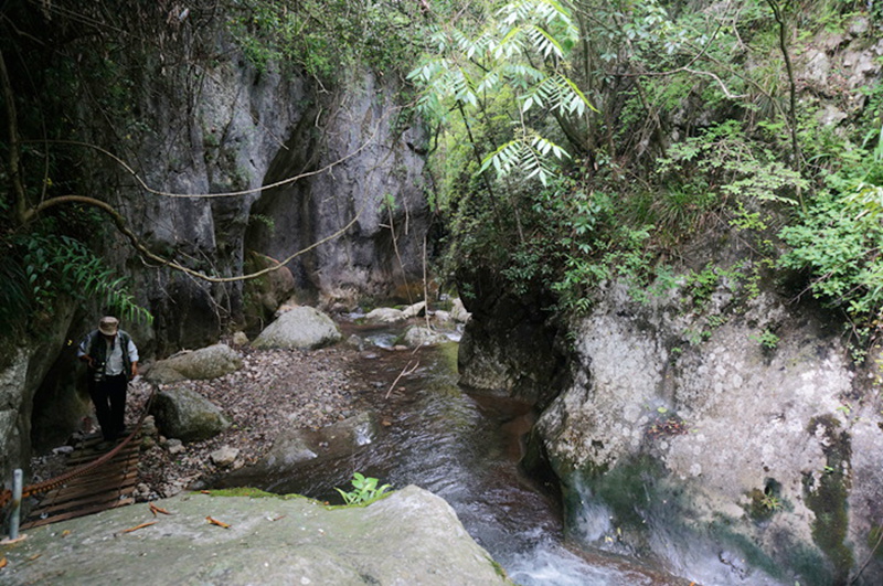 dsc02063_.jpg