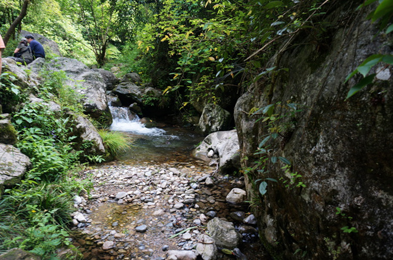 dsc02065_.jpg