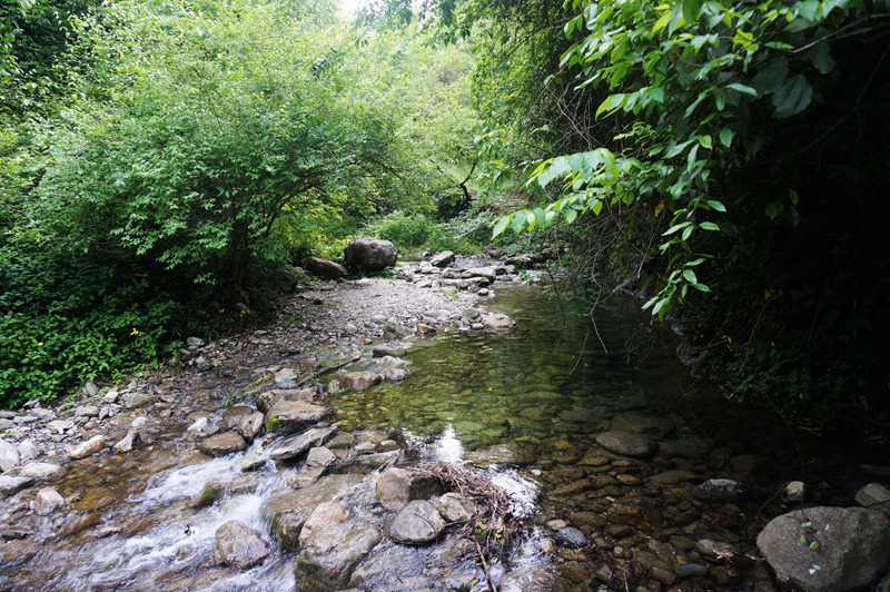 dsc02074_.jpg