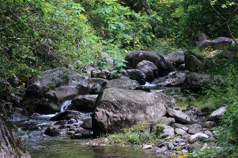 dsc02079_.jpg