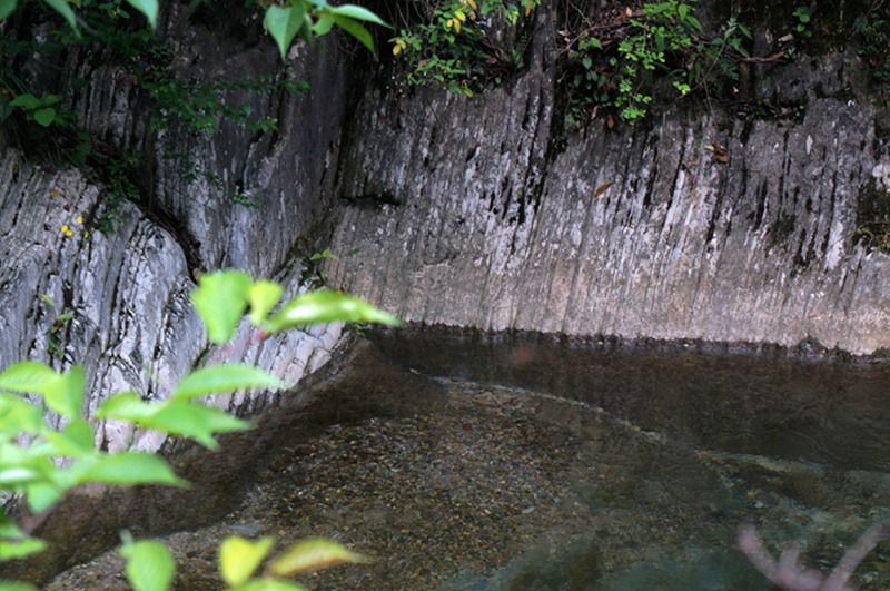 dsc02080_.jpg