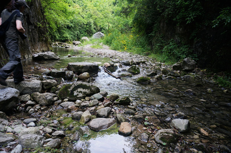 dsc02084_.jpg