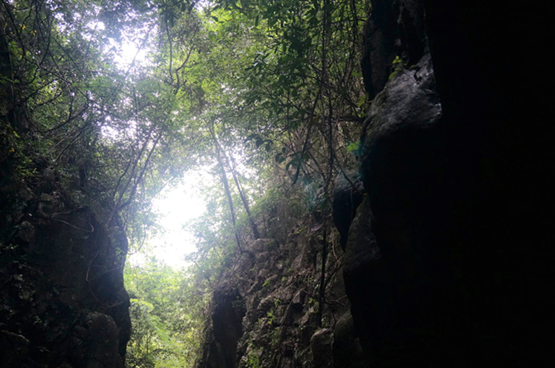dsc02098_.jpg
