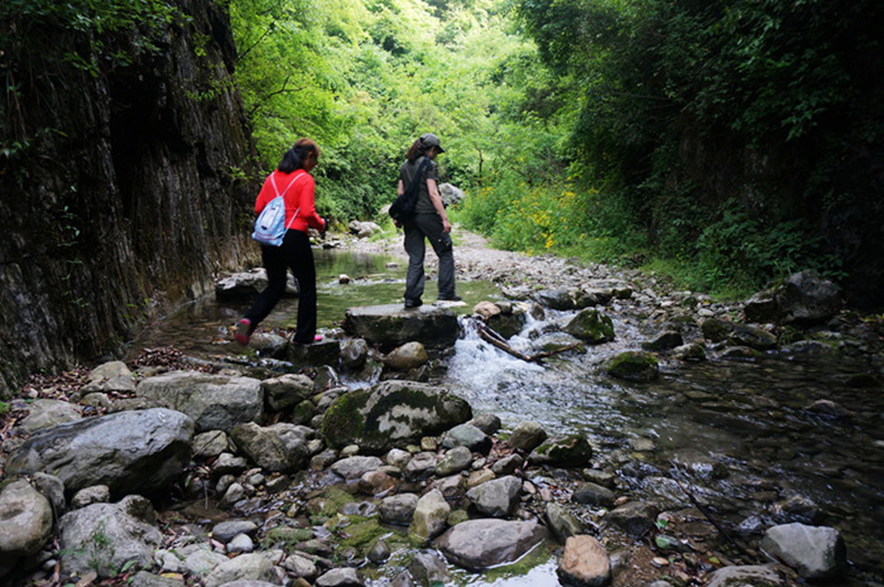 dsc02085_.jpg