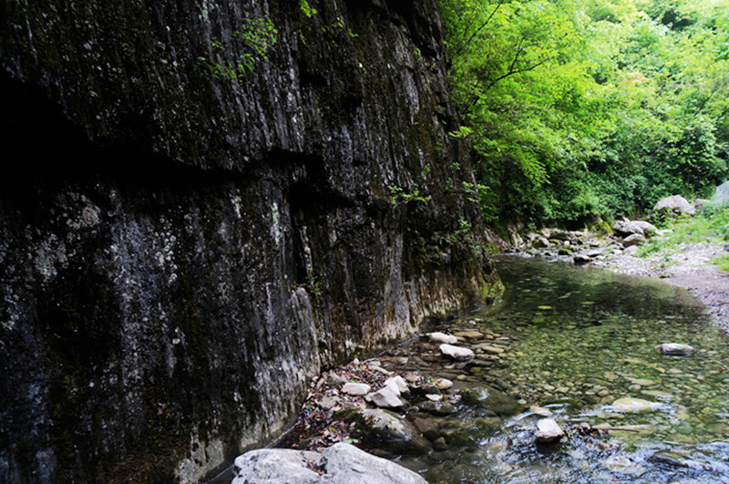 dsc02086_.jpg