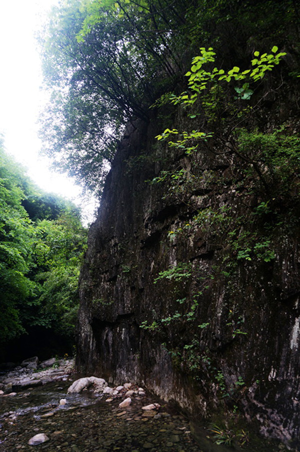 dsc02088_.jpg