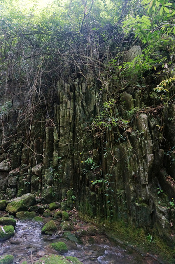 dsc02092_.jpg