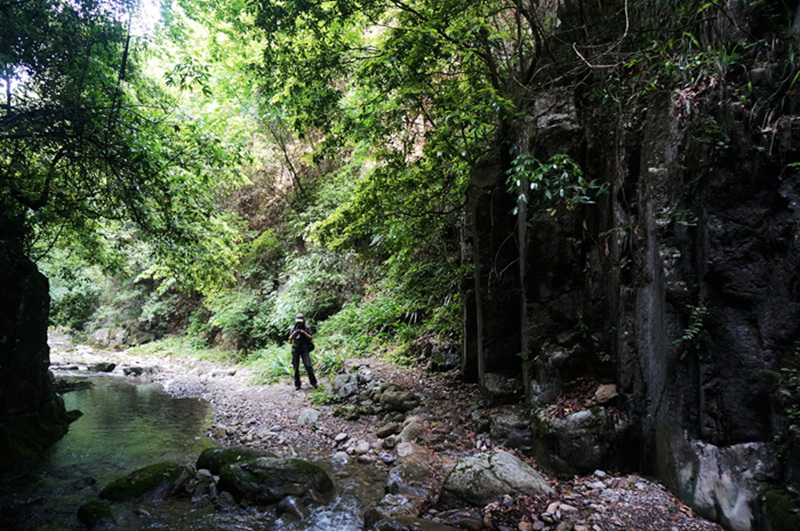 dsc02093_.jpg