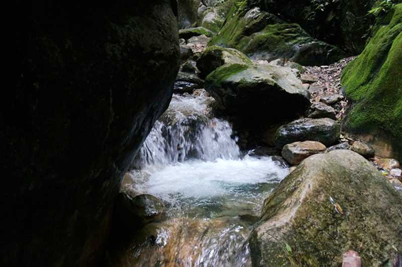 dsc02097_.jpg