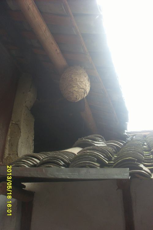 sl383385.jpg