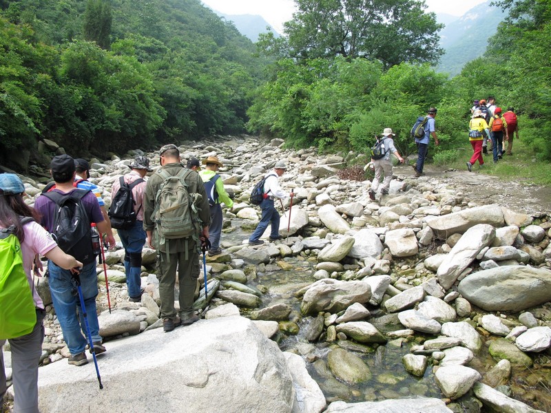 simg_9721.jpg