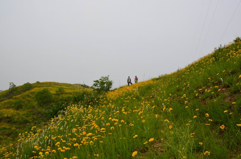 dsc_0605.jpg2.jpg