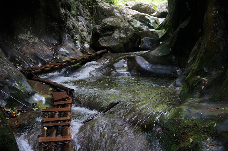dsc02107_.jpg
