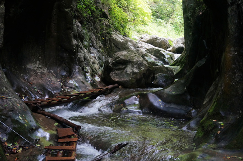 dsc02109_.jpg