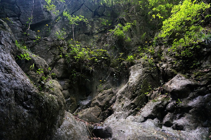 dsc02120_.jpg