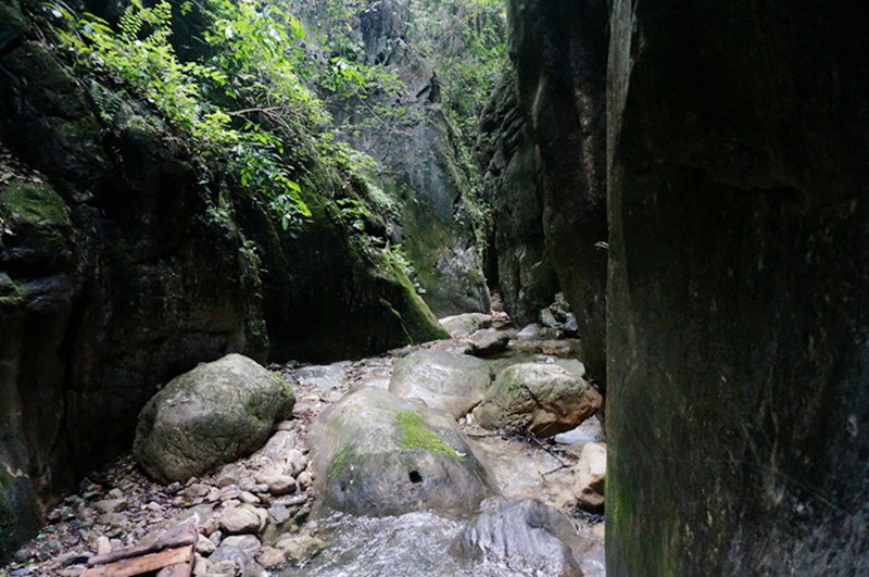 dsc02122_.jpg