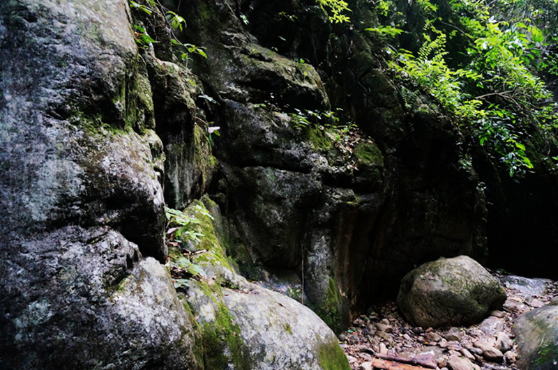 dsc02124_.jpg