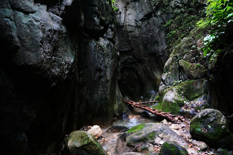 dsc02125_.jpg
