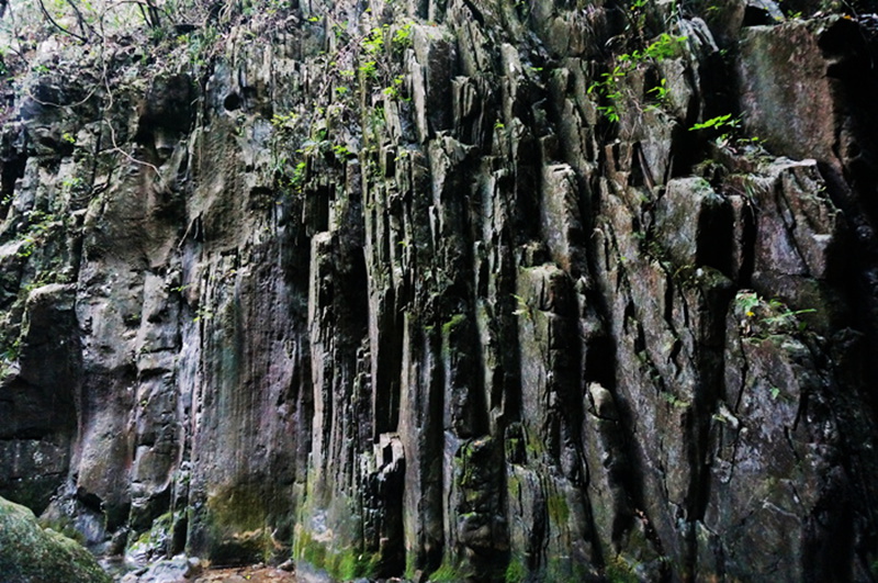 dsc02128_.jpg