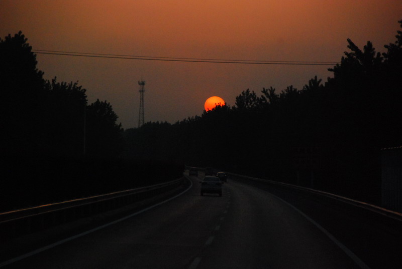 dsc_9334.jpg