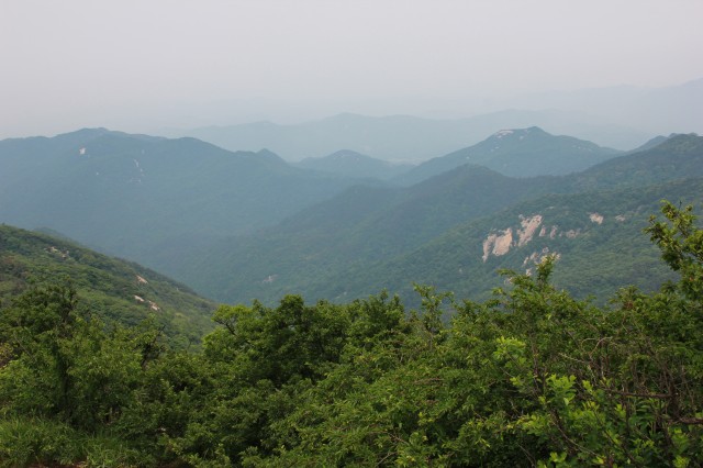 img_8761.jpg