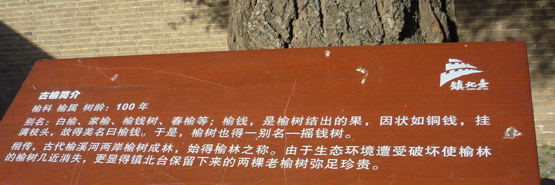 p1190383_.jpg