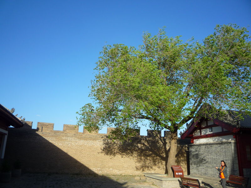 p1190383_.jpg