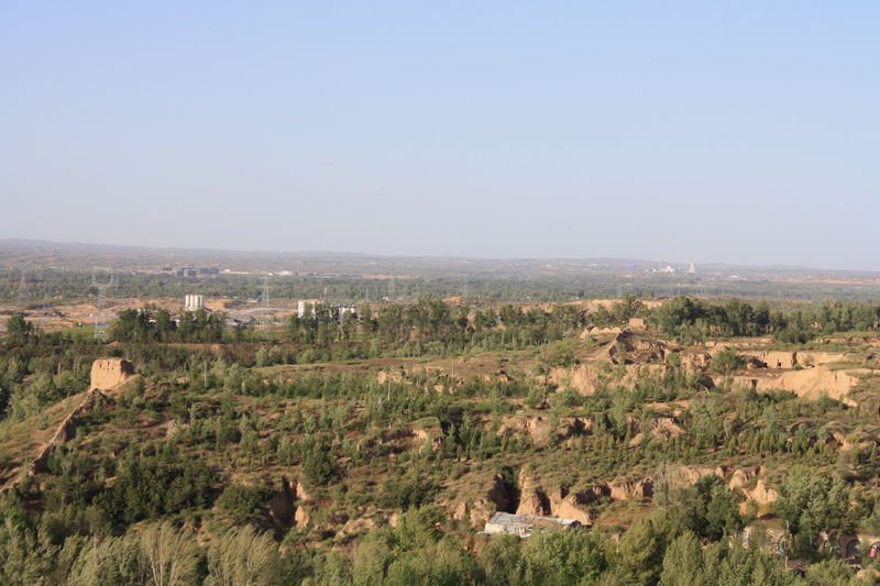 p1190383_.jpg