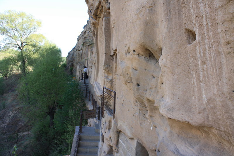 p1190383_.jpg