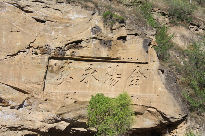p1190383_.jpg
