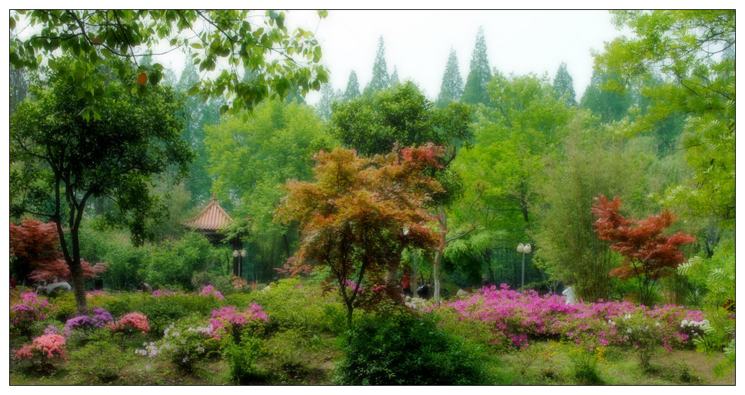 杜鹃花展.jpg