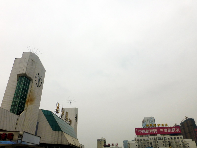 p1060824.jpg