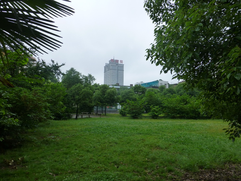 p1070225.jpg