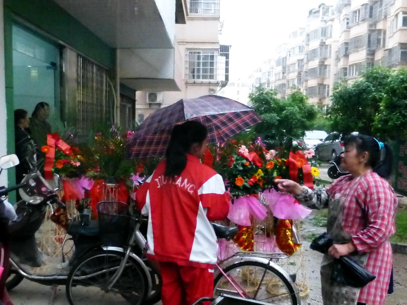 p1060831.jpg