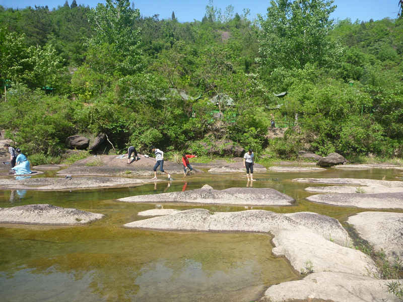p1140915_.jpg