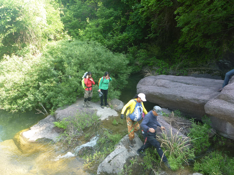 p1140918_.jpg